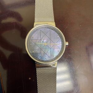 Ladies Annelie Stainless Steele Skagen Watch